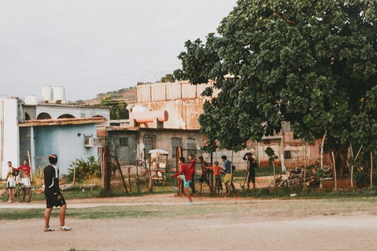 pexels-photo-19347787